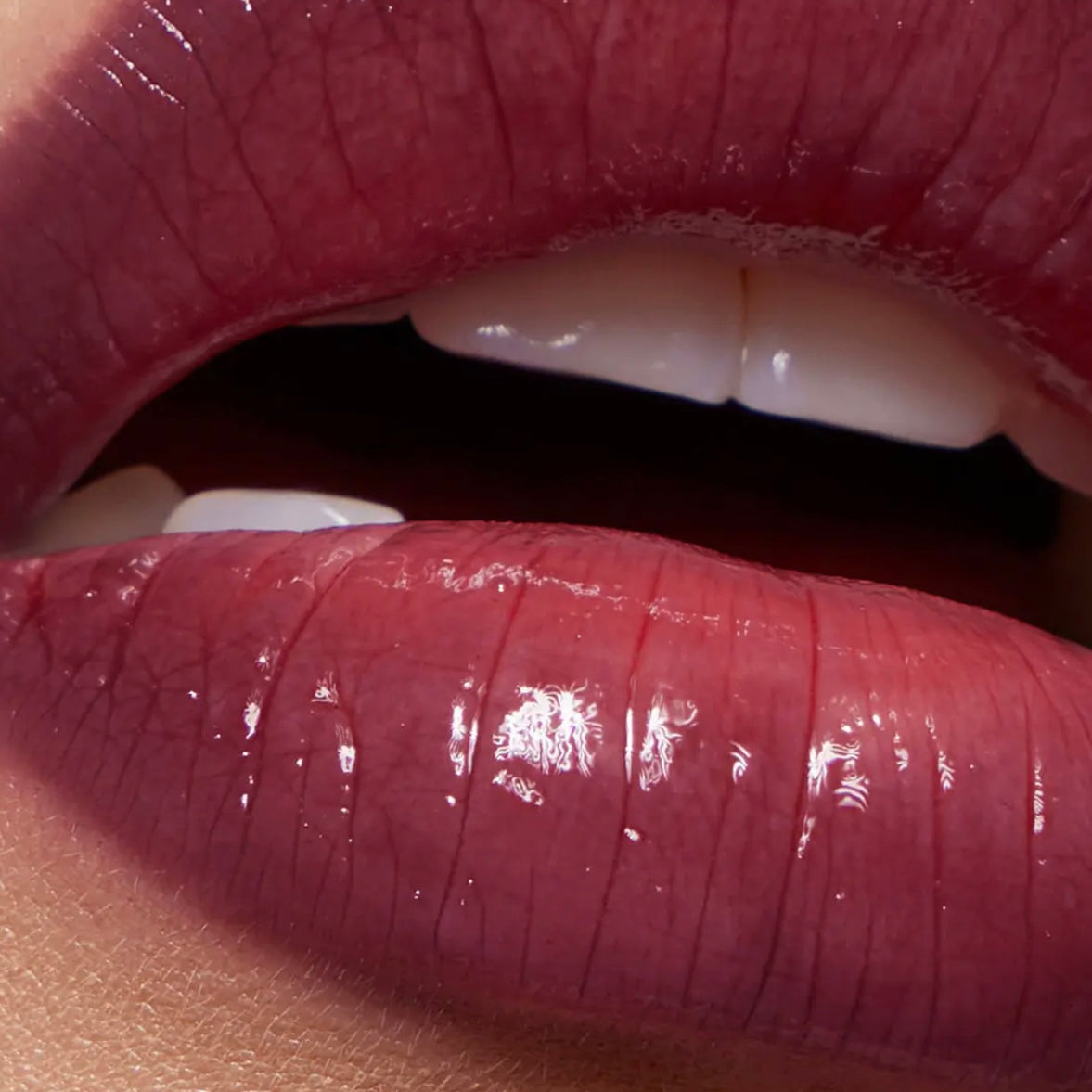 Refy Limited Edition Plum Collection