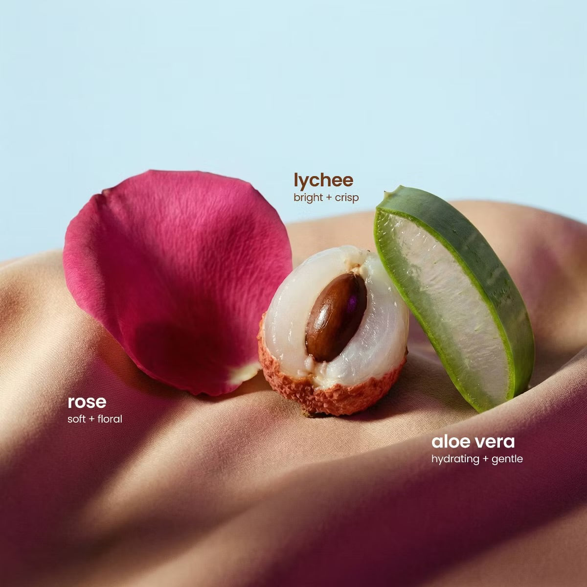 VQ Hand Sanitizer - Rose Lychee